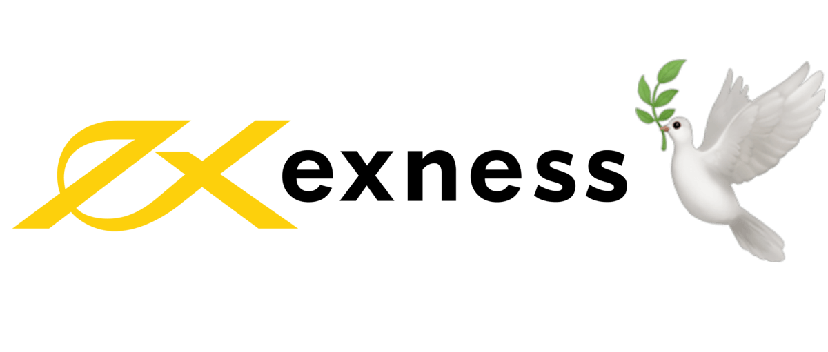 Comprehensive Guide to Exness Forex Trading Broker 15
