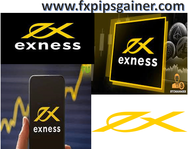 Exness Forex Review Performance, Features, and User Experience